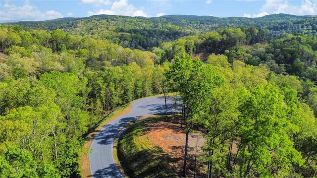 Listing photo 3 for LT274 Canoe Way, Talking Rock GA 30175