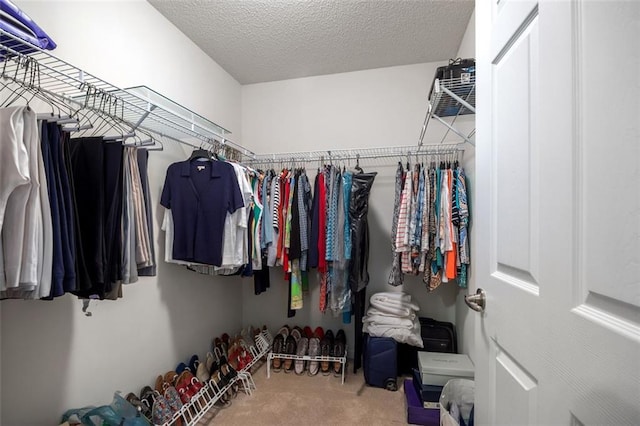 walk in closet with carpet floors