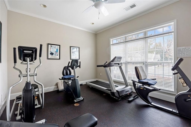 workout area with ceiling fan and ornamental molding