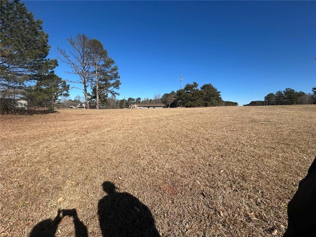 view of yard featuring a rural view