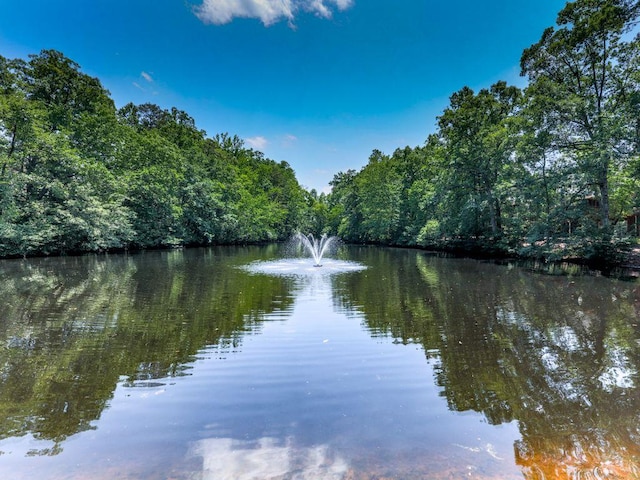 water view featuring a forest