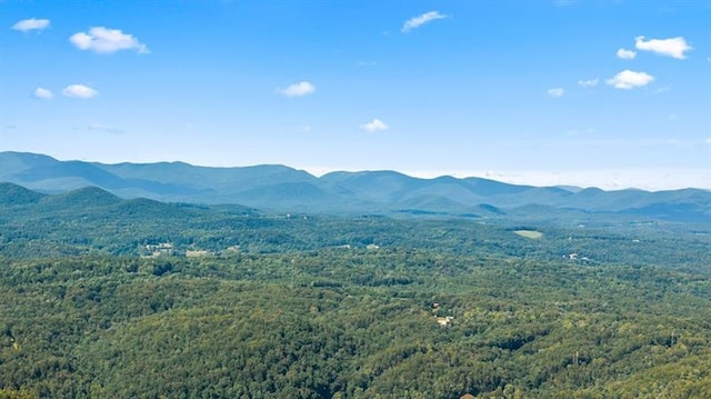 mountain view with a forest