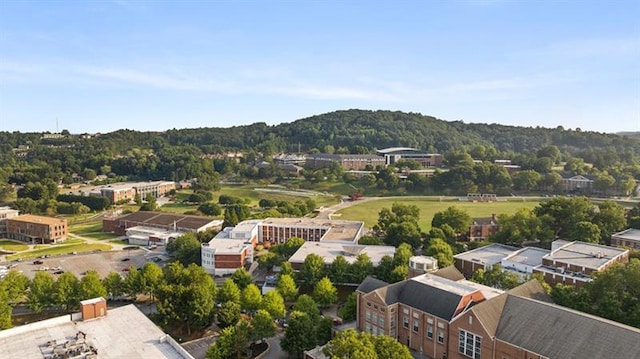 bird's eye view of a heavily wooded area