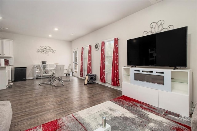 living room featuring dark hardwood / wood-style flooring