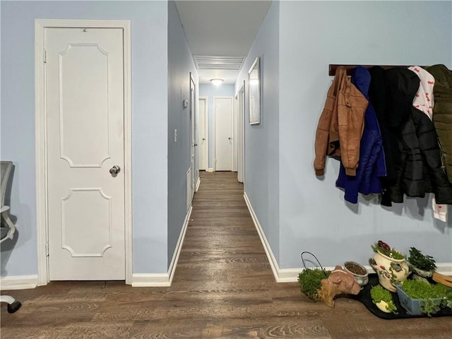 hallway with dark wood-type flooring