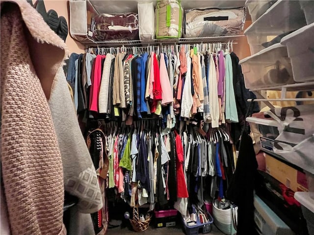 view of walk in closet