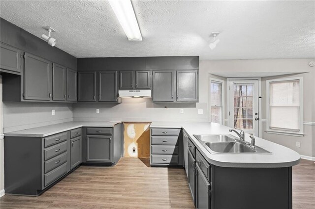 kitchen featuring kitchen peninsula, sink, and hardwood / wood-style floors