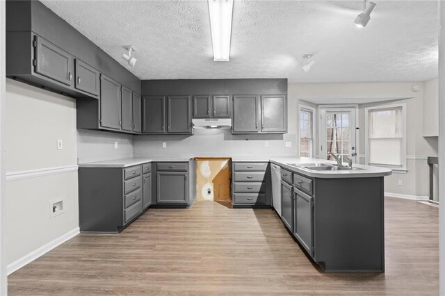 kitchen with sink, light hardwood / wood-style floors, a textured ceiling, track lighting, and gray cabinets