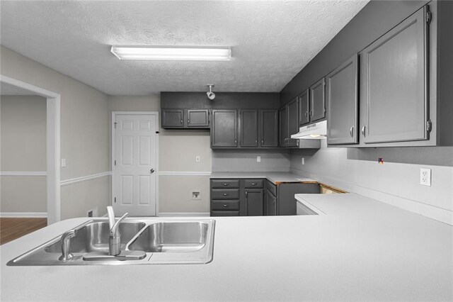 kitchen featuring gray cabinetry, sink, a textured ceiling, and hardwood / wood-style floors