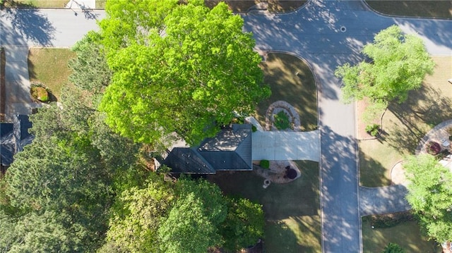 251 Waterford Cove Dr, Suwanee, GA 30024 - bird's eye view