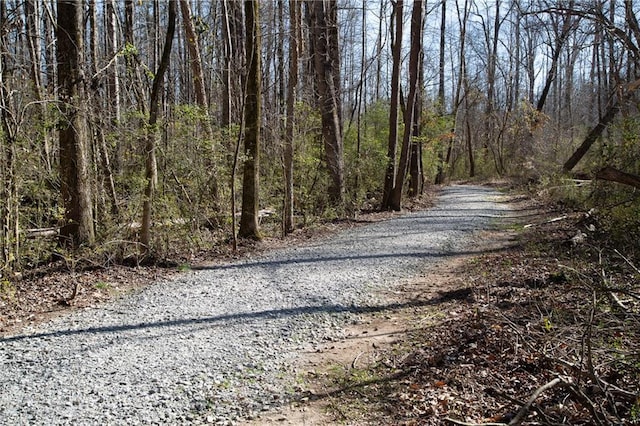 251 Waterford Cove Dr, Suwanee, GA 30024 - view of dirt / gravel road featuring a forest view