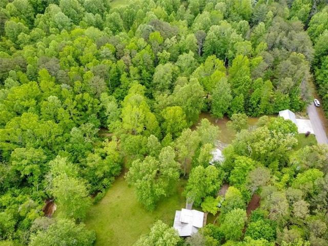 aerial view of a forest