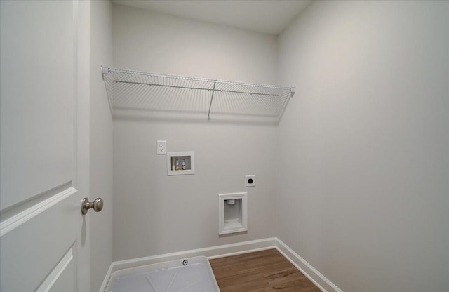 walk in closet with wood-type flooring