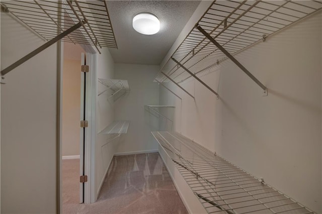 535 Toonigh Rd, Woodstock, GA 30188 - spacious closet with carpet