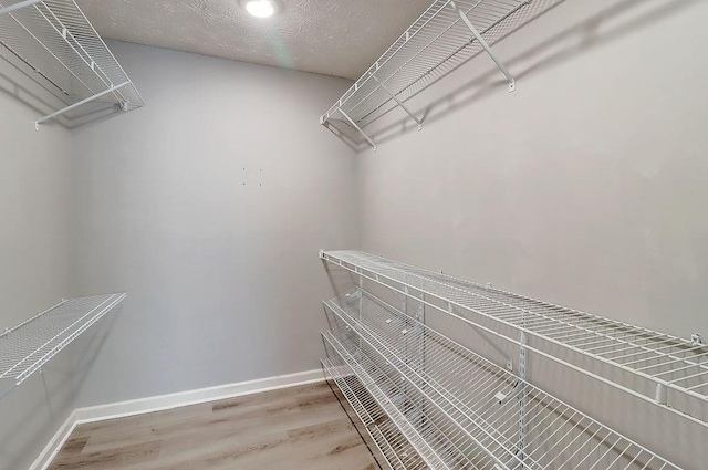 spacious closet with hardwood / wood-style floors