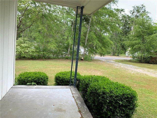 view of yard featuring a patio