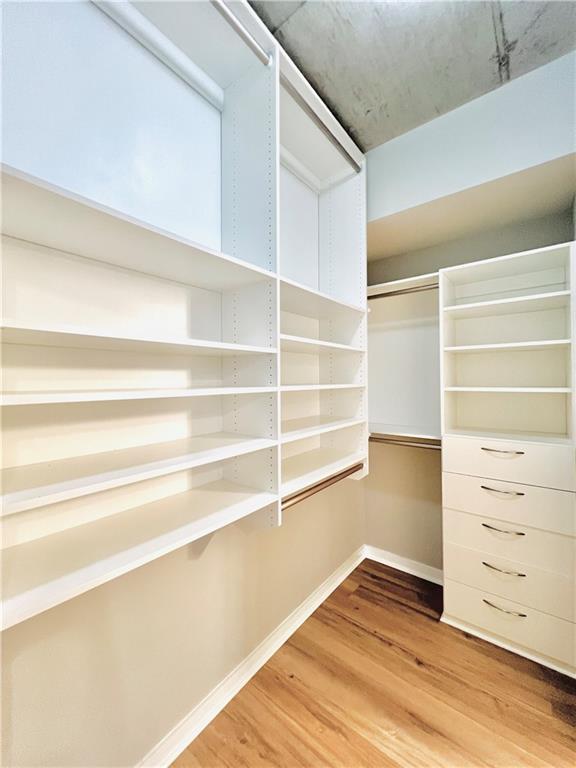 spacious closet with hardwood / wood-style floors