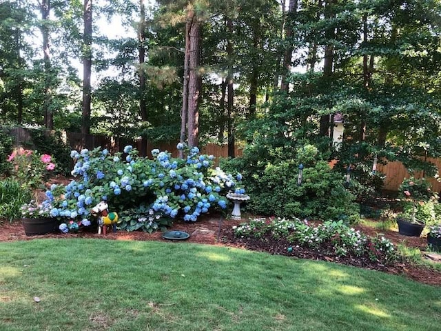 view of yard with a fenced backyard