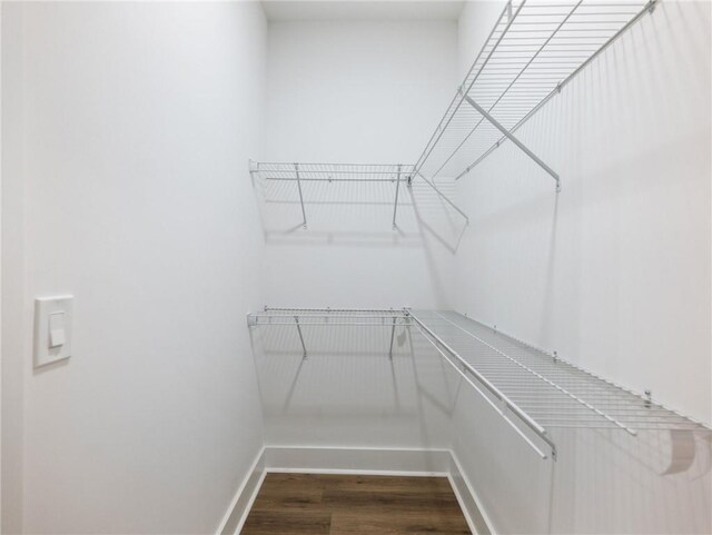 spacious closet featuring hardwood / wood-style flooring