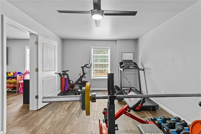 4568 Mantova Dr, Buford, GA 30519 - exercise room with wood finished floors, ceiling fan, and baseboards