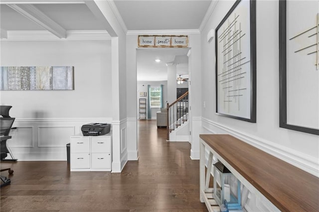 4568 Mantova Dr, Buford, GA 30519 - hall with ornamental molding, stairway, dark wood-type flooring, wainscoting, and a decorative wall