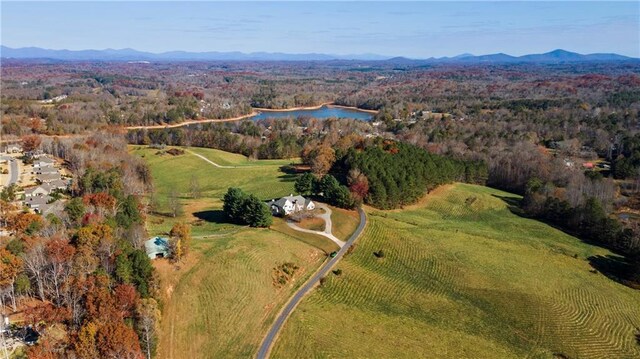 5414 Price Rd, Gainesville, GA 30506 - bird's eye view with a view of trees and a water and mountain view
