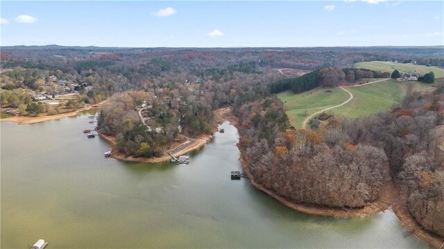 5414 Price Rd, Gainesville, GA 30506 - drone / aerial view with a view of trees and a water view