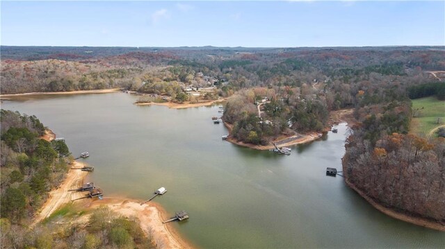 5414 Price Rd, Gainesville, GA 30506 - birds eye view of property with a water view and a wooded view
