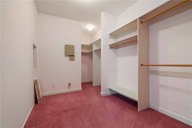 5414 Price Rd, Gainesville, GA 30506 - spacious closet with carpet floors
