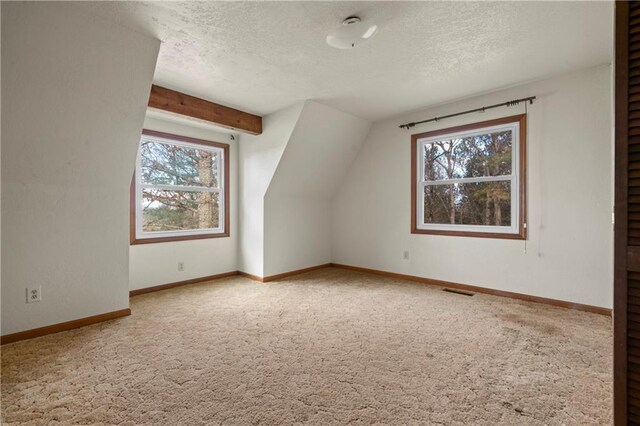 5414 Price Rd, Gainesville, GA 30506 - additional living space featuring a textured ceiling, lofted ceiling, baseboards, and carpet floors