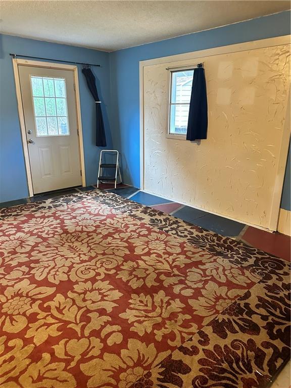 carpeted entryway featuring a textured ceiling and a healthy amount of sunlight