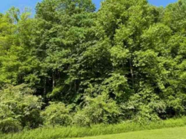 Listing photo 3 for LOT8 Hidden Valley Trl, Ellijay GA 30540