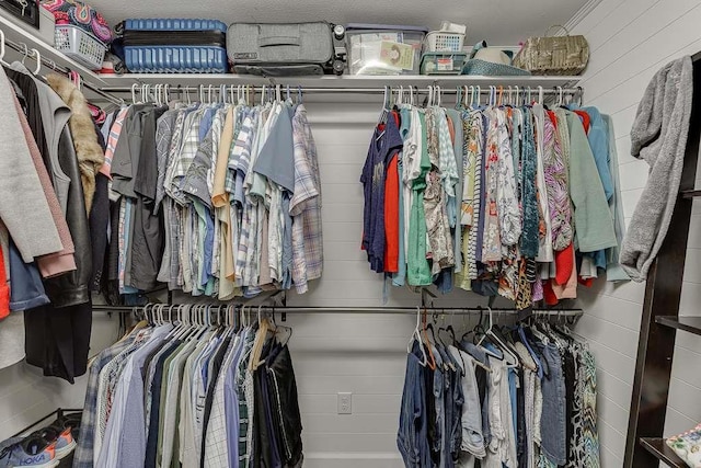 view of spacious closet