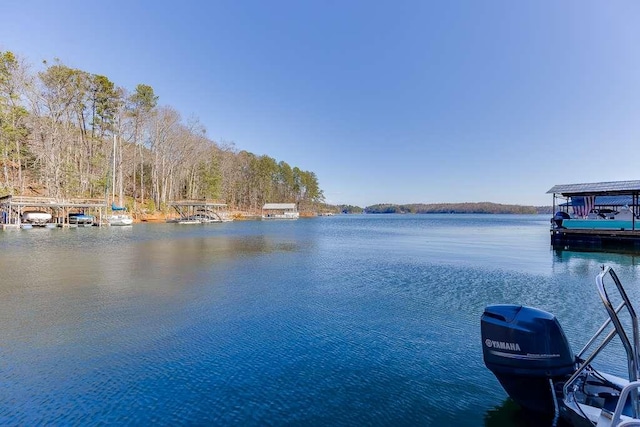 view of water feature with a dock