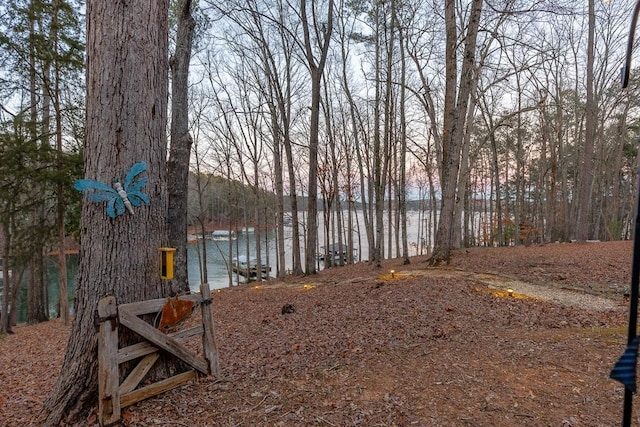 view of yard featuring a water view