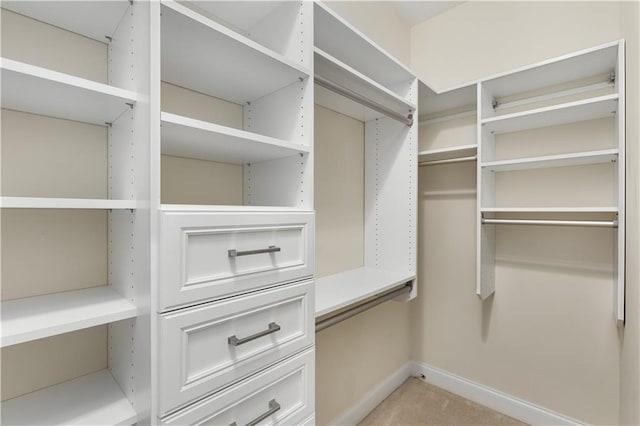 spacious closet featuring light carpet