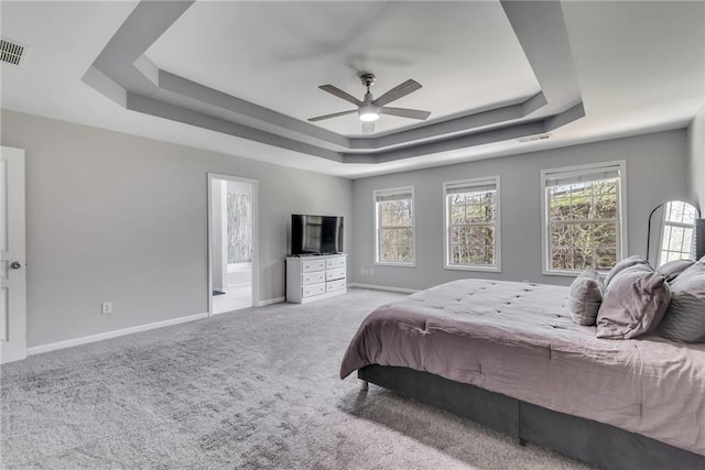 bedroom with multiple windows, carpet, and a raised ceiling