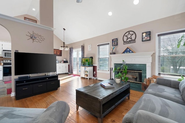 living room featuring lofted ceiling, a fireplace, and light hardwood / wood-style floors