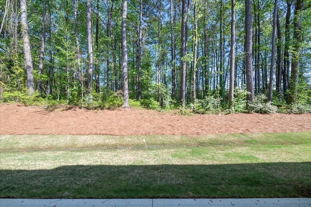 view of green lawn