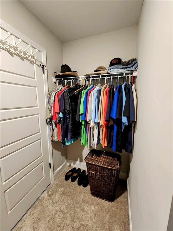 walk in closet with light colored carpet