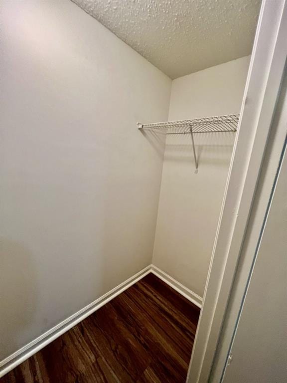 spacious closet featuring dark wood-style floors