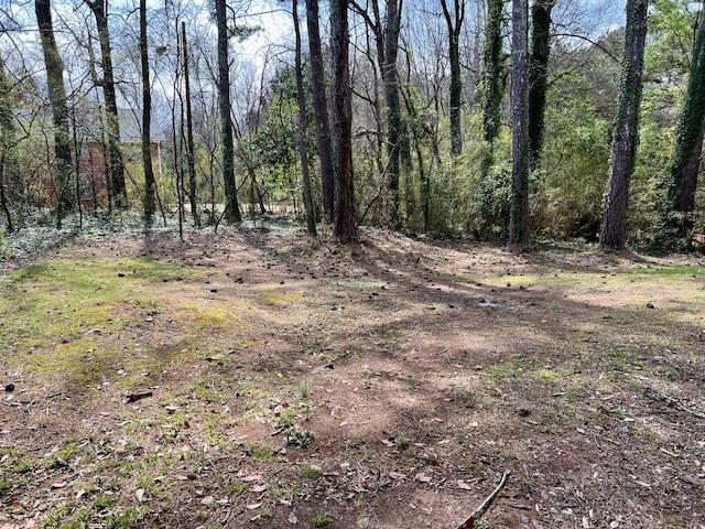 view of local wilderness featuring a forest view