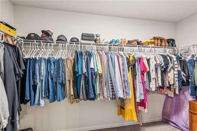 spacious closet with carpet floors