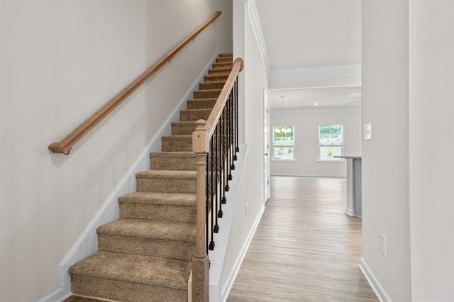 stairs featuring hardwood / wood-style flooring