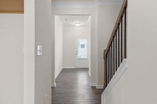 foyer with crown molding and dark hardwood / wood-style floors