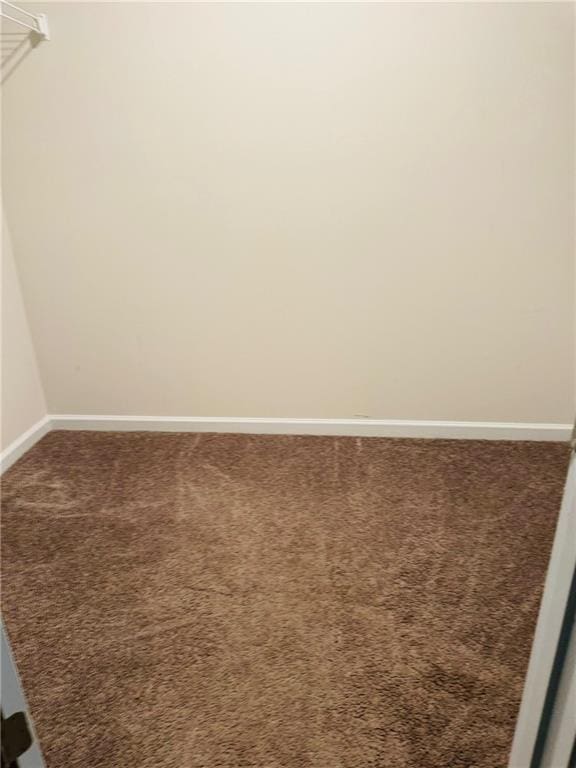 walk in closet featuring carpet flooring