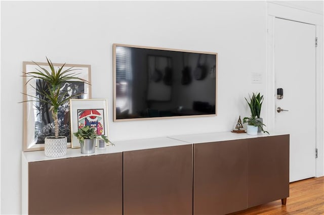 room details featuring hardwood / wood-style flooring