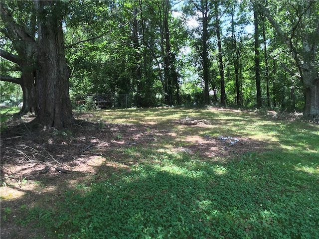 290 Covered Bridge Rd SW, Cartersville, GA 30120 - view of wooded area