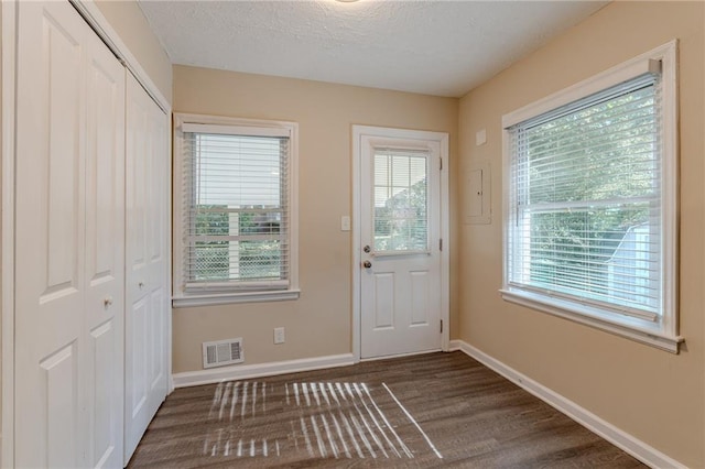 entryway featuring a textured ceiling, dark hardwood / wood-style flooring, and plenty of natural light