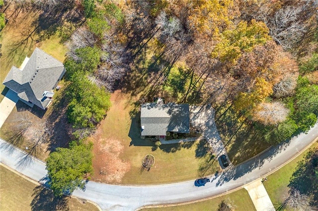 drone / aerial view